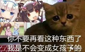 評論圖片-愛作暝夢s BLoG